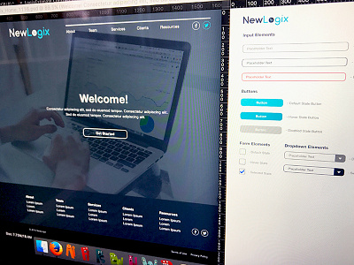NewLogix Website and Style Guide branding elements home page style guide ui ux website