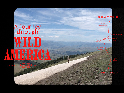 A Journey through wild America Titles editorial design film roadtrip tipography title design title sequence typedesign