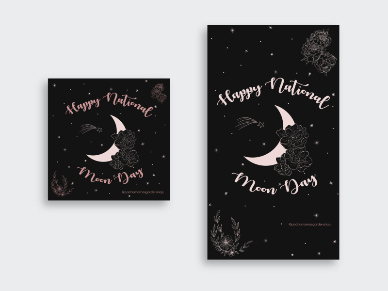 National Moon Day 2021 - Feed & Story Post by Kelly M. La Rosa on Dribbble