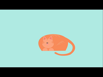 Catshrimp animation design illustration motion graphics vector