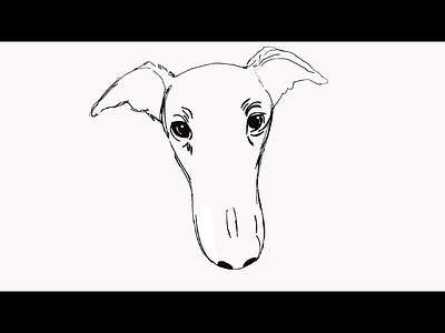 PB & Lulu animation design hand drawn illustration motion graphics