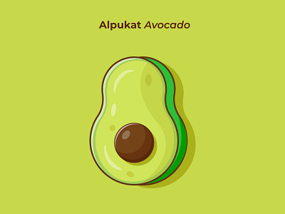 Alpukat Avocado