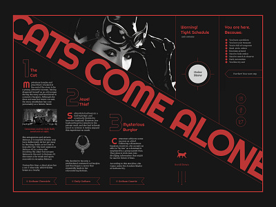 Catwoman Landing Conceptual Hero cat catwoman comics dc dccomics design landing typography ui ux