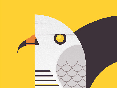 Bird Design bird design drawing illustration photoshop print typography