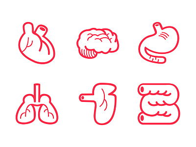 The Human Body Icon 6-Pack design drawing graphic design icons illustration organs