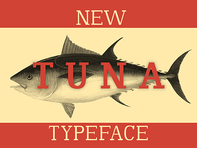 TUNA Typeface creative details fantasy modern serif simple typeface