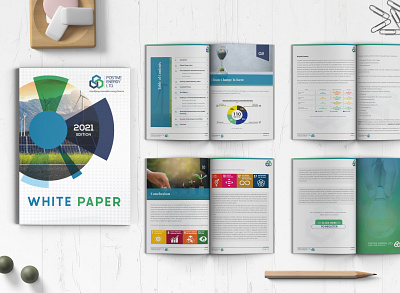 Corporate PDF book design book formatting business report corporate design corporate pdf cover design design typography
