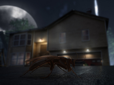 "Cockroach scene 3D animation" CGA Belgrade