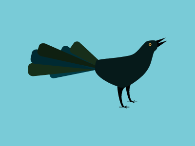 Grackle jmc100days texas bird shapes shading illustration illustrator atx austin grackle