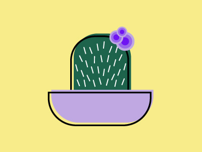 Cactus cacti cactus flower flowers offset plant