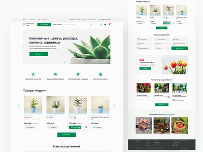 PrmSad ❘ Plants Shop Website design homepage interface landing plants ui ux uxui webdesign website