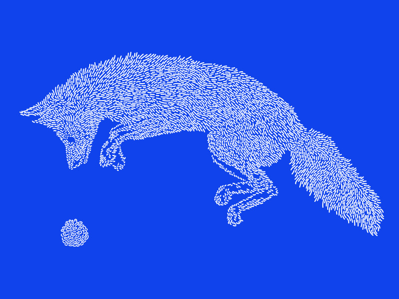 Fox / Kitsune fox electric blue illustration line art