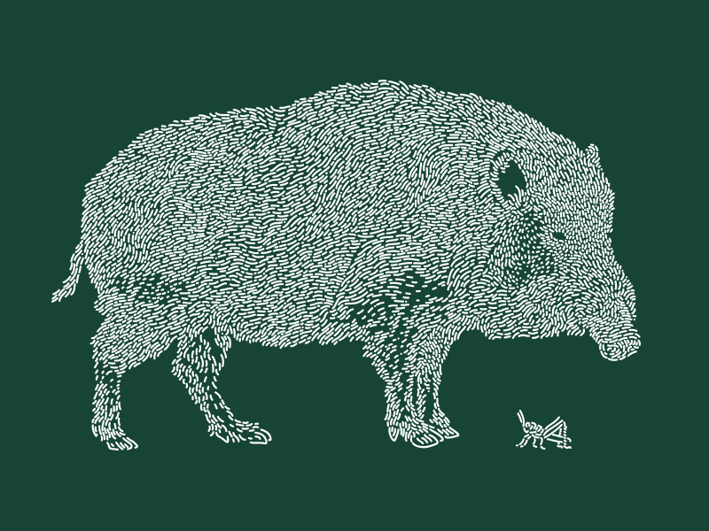 Boar / Inoshishi grasshopper green forest pig boar art line illustration