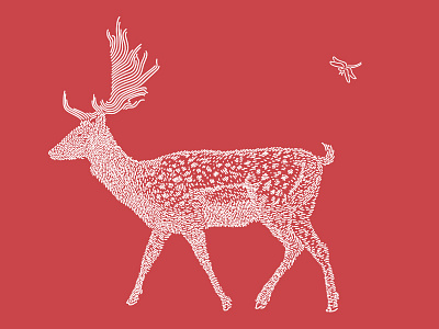 Deer / Shika art deer illustration line