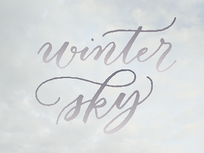 Winter Sky digital lettering hand lettering modern calligraphy script vector art