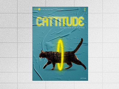 Poster design: Cattitude