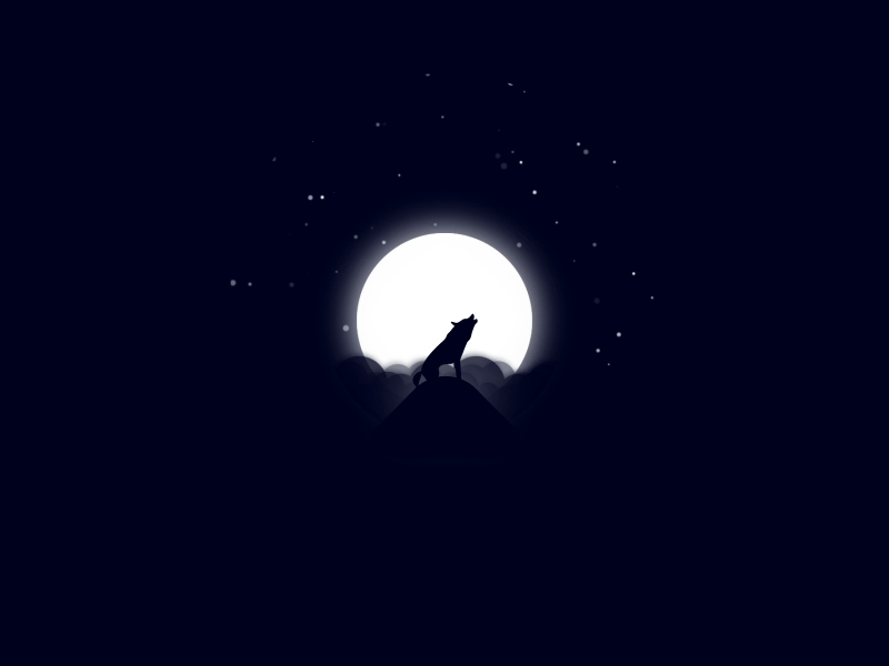 Full Moon after effects animal character flat design motion design wolf