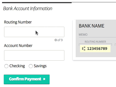 Bank Account Entry