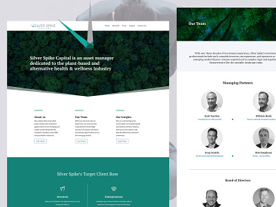 Asset Management website cannabis finance fintech investment website wordpress wordpress design