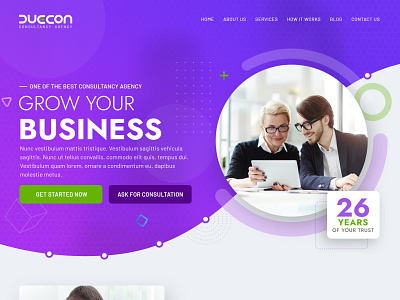 Duecon Consultancy consultancy corporate ui website