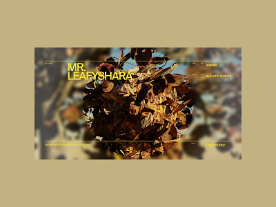 NFT | MR.LEAFYSHARA