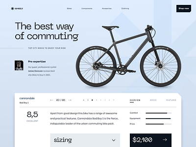 Bike review page bike concept cycling desktop interface review shop ui