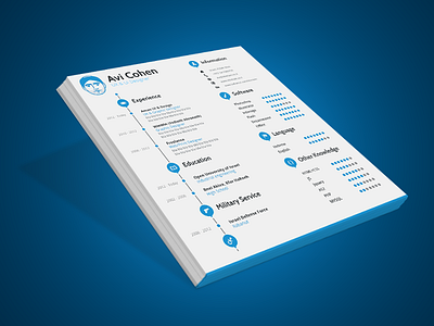 my Designed Resume agency avi cohen cv design me profile resume skills work