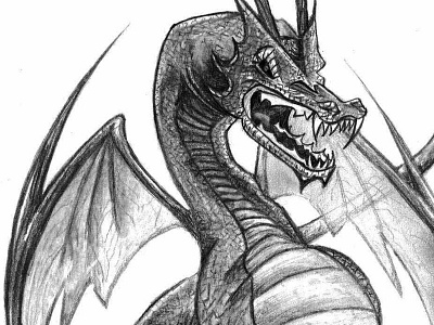 Dragon Illustration dragon illustration