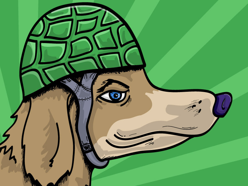 Dog Wearing Helmet illustration helmet dog