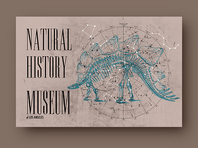 Natural History Museum postcards postcard