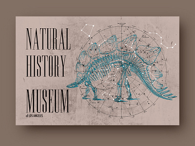 Natural History Museum postcards