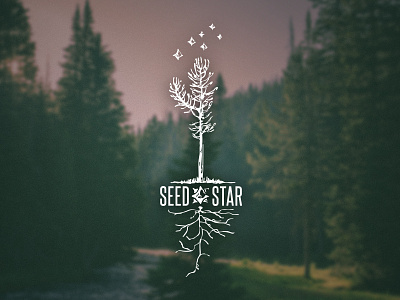 Seed Star identity logo roots tree woodcut