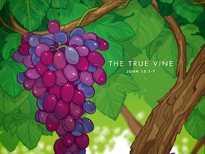 The True Vine cintiq cs6 illustrator vector