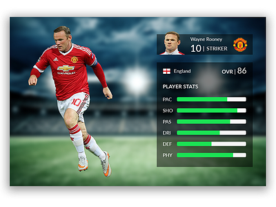 Wayne Rooney stats card