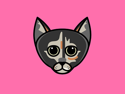 Mina animals cat illustration pets portrait