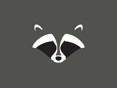 Raccoon