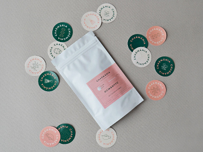 Tea packaging branding bulgakova chinese tea graphic design logo minimal package design stickers tea