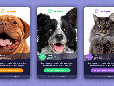 Pet Adoption Concept