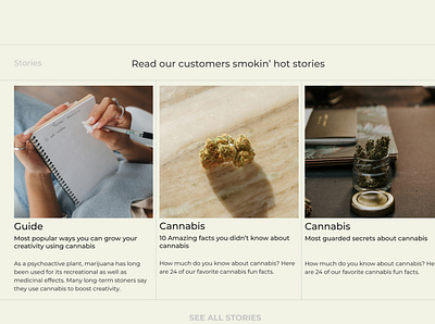 cannabis e-commerce stories 2021 branding concept design ecommerce minimal