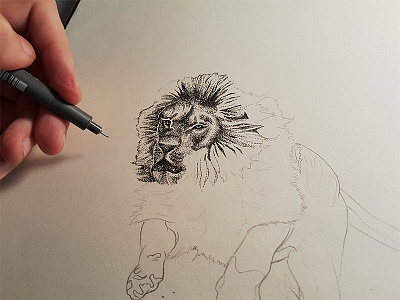 Fear Naught the Fire (Progress Shot) drawing illustration lion pointillism realism stippling
