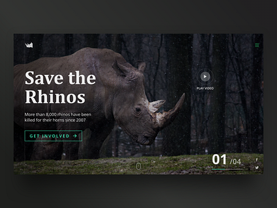 Save the Rhinos - Landing Page