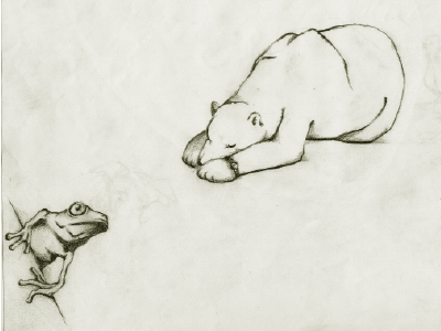 Sketch Frog & Bear bear drawing frog illustration pencil sketch toad