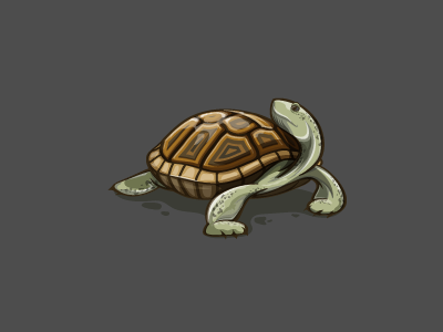 Turtle Illustration design diamondback terrapin forest illustration illustrator turtle vector