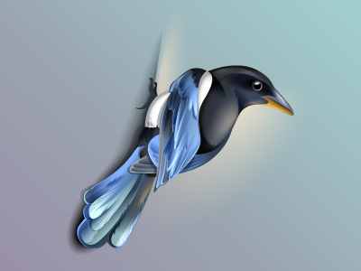 Magpie