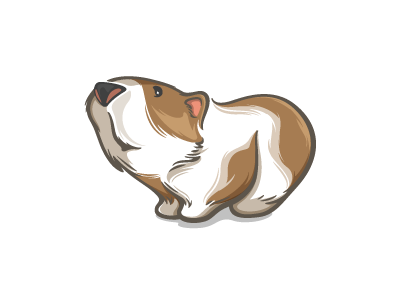 Guinea Pig animal cute design guinea pig illustration logo pet