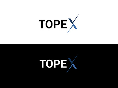 TOPEX logo design