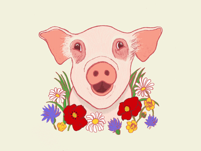 Spring Piggy flowers colouring process gif pink animal farm vegetarian pig photoshop drawing digital illustration