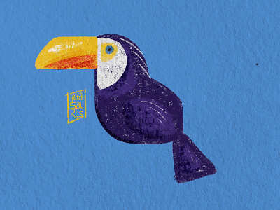 My pet parrot animals childrens illustration crayon crayons design illustration kids illustration logo parrot
