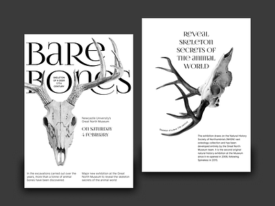 Bare bones exhibition | Poster design graphic design poster typography