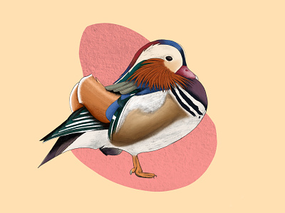 Japanese duck design digital illustration digital painting duck illustration illustration art
